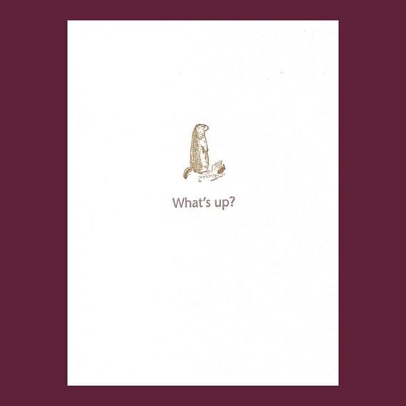 What's up... Groundhog card - letterpress printed