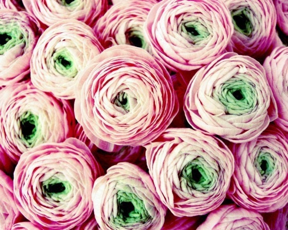 Bundle of sweetness - Fine Art  Photography . French flowers BOGO sale 8x10