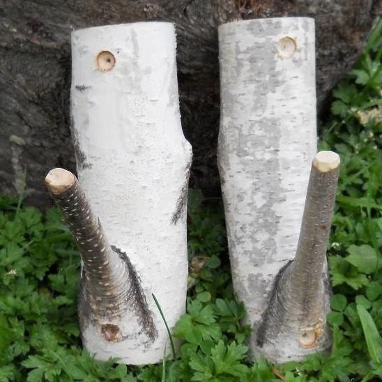 Birch Branch Pair of Rustic Hooks  Woodland Natural Decor
