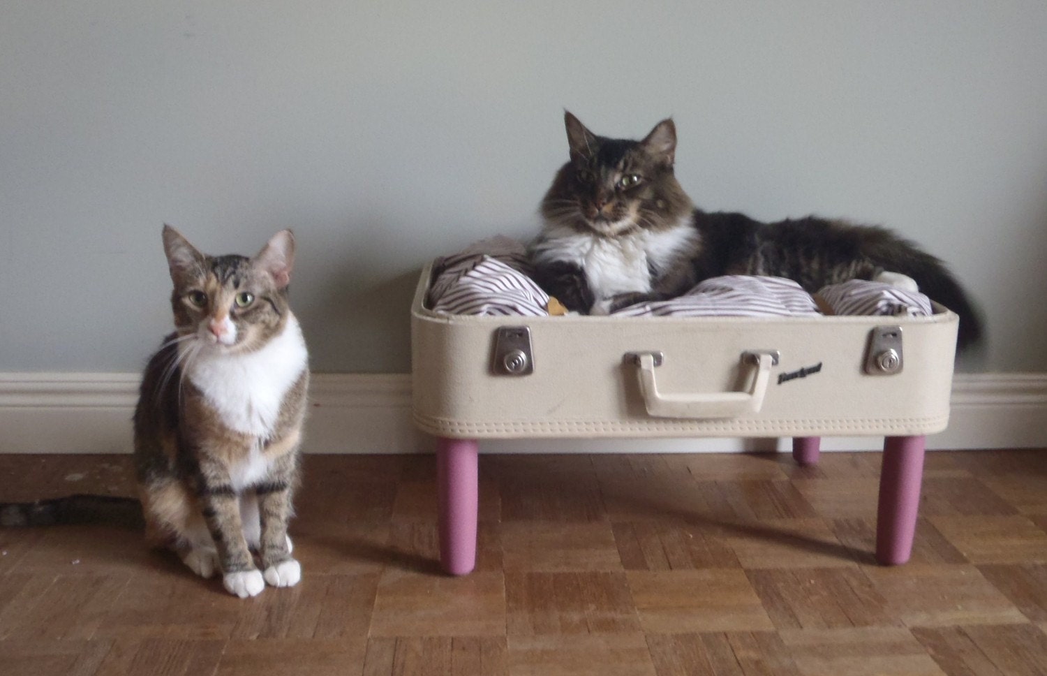 Lovable Luggage Pet Bed - Upcycled Suitcase - White and Pink - 2 dollars goes to carescatshelter