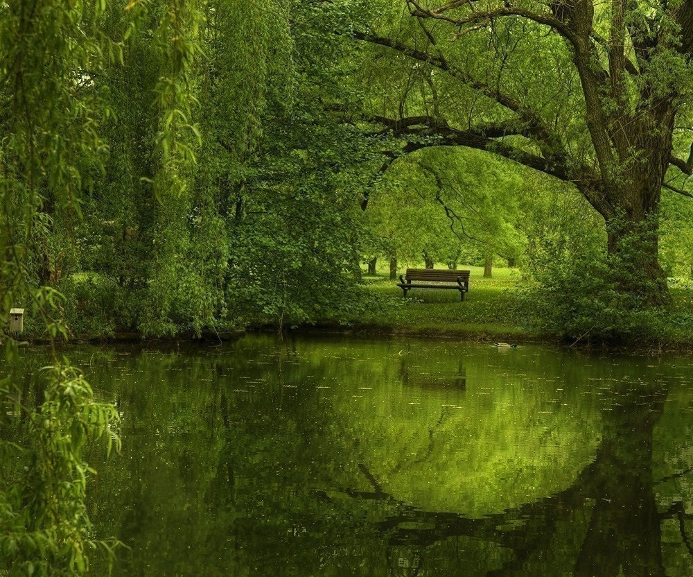 Another green world  - Fine art landscape photograph