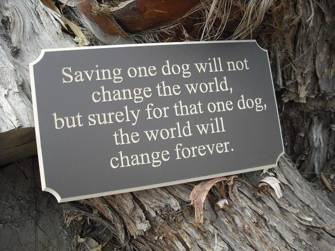 Saving one dog will not change the world, but surely for that one dog, the world will change forever - meaningful ENGRAVED wood sign for any dog lover