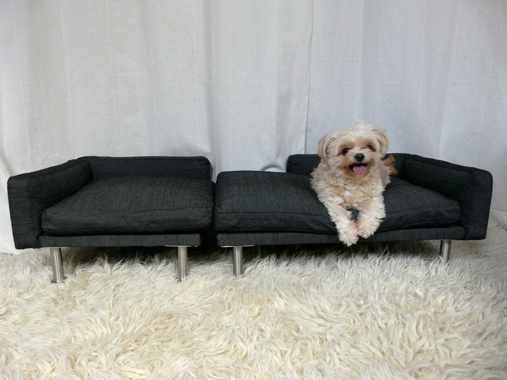 Modern pet bed, sofa and chaise sectional.