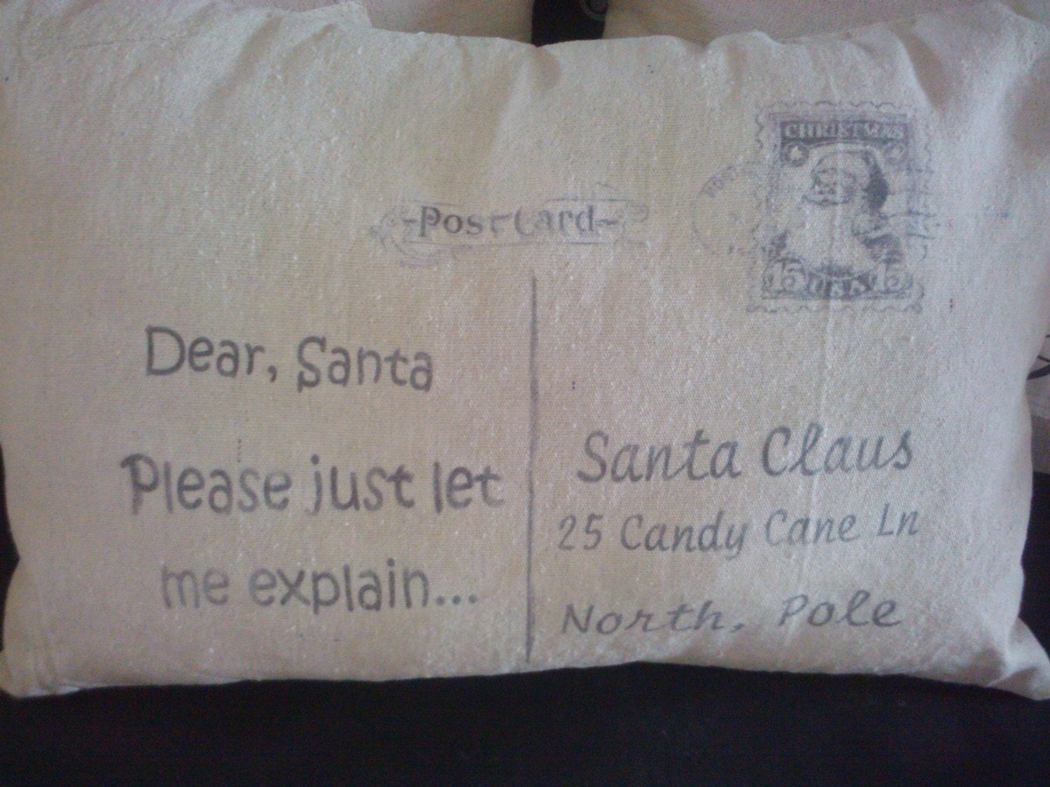 Christmas Pillow "Santa Let Me Explain"