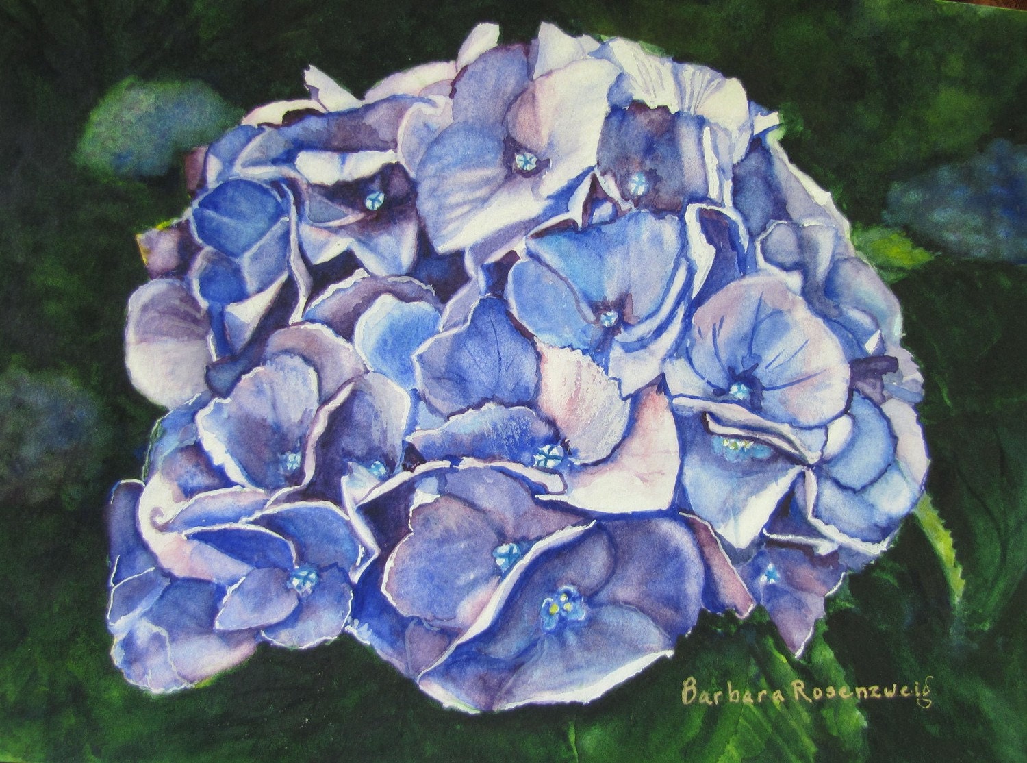 Blue Hydrangea Flower Art: Limited Ed Watercolor Print 11x14