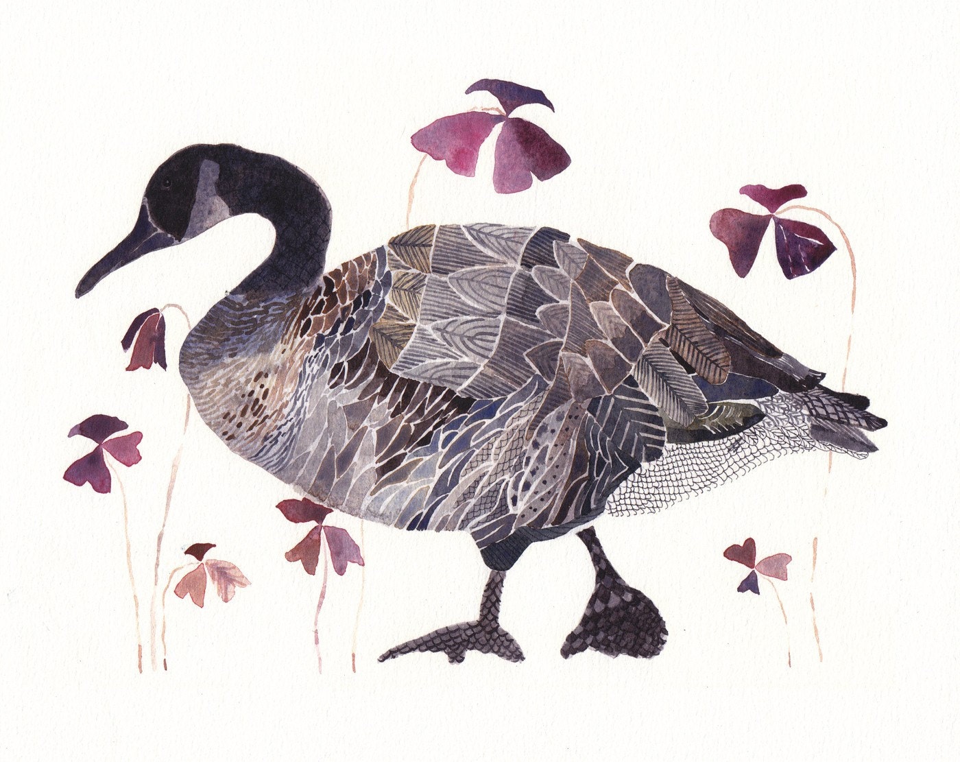 Goose with Oxalis - Limited Edition Print