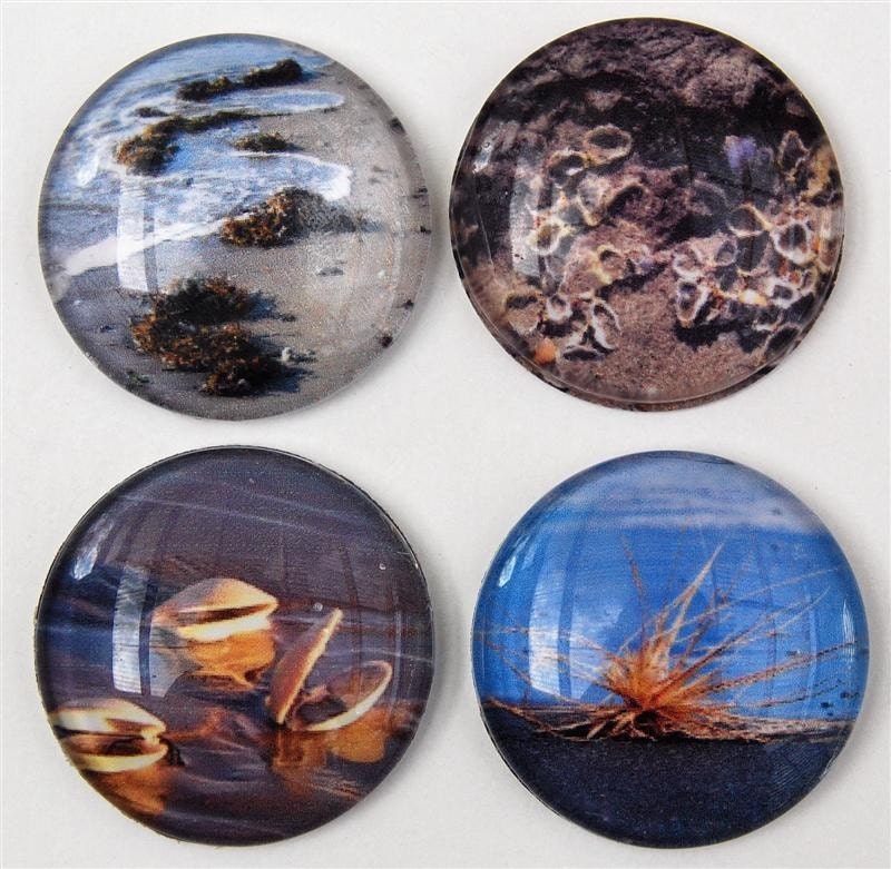 Round domed glass magnets with beach scenery photos