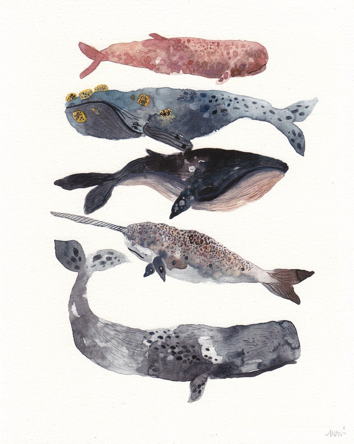Five Whales Stacked - Archival Print