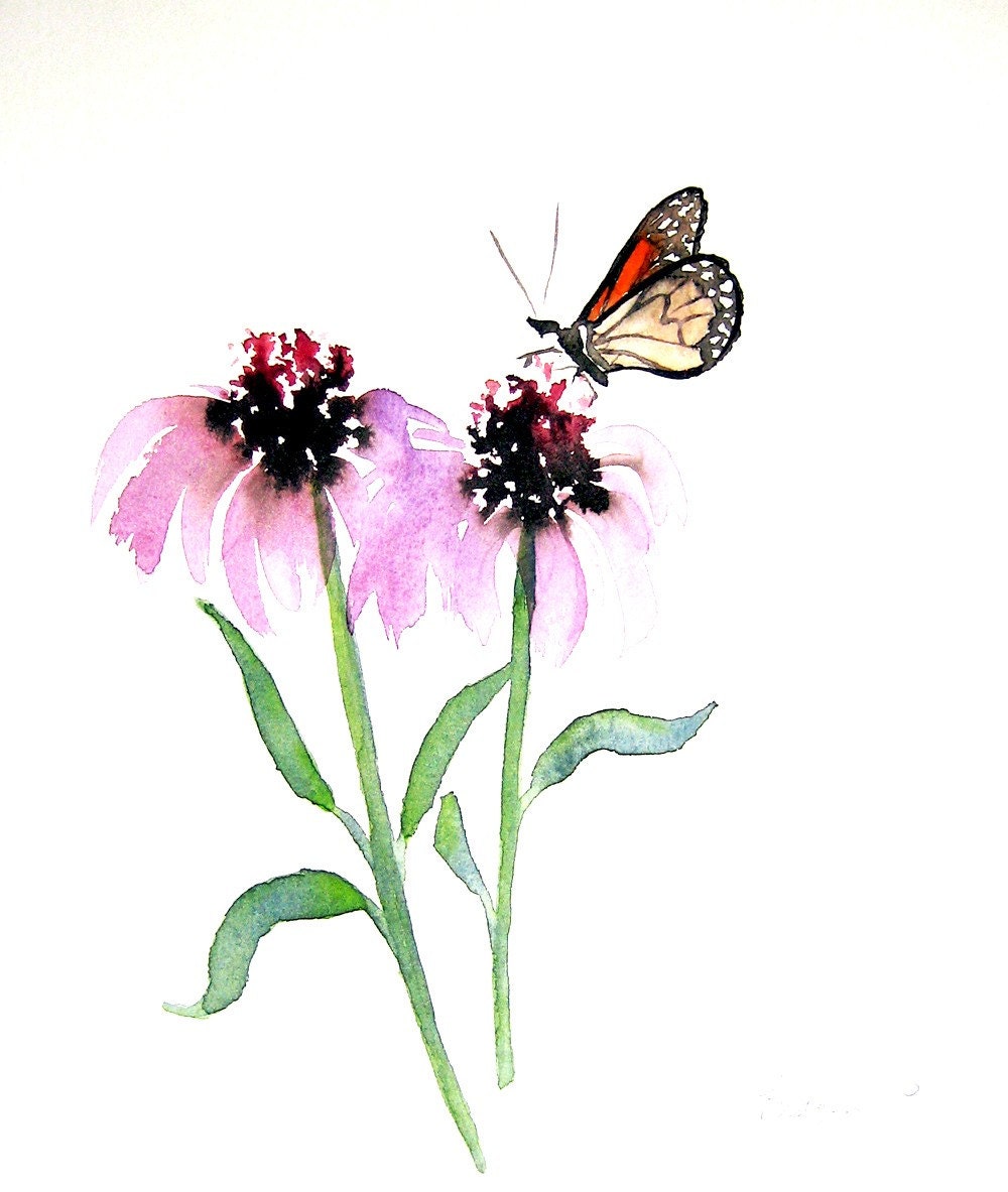 Monarch Butterfly with Echinacea - 5x7 Fine Art Giclee Print