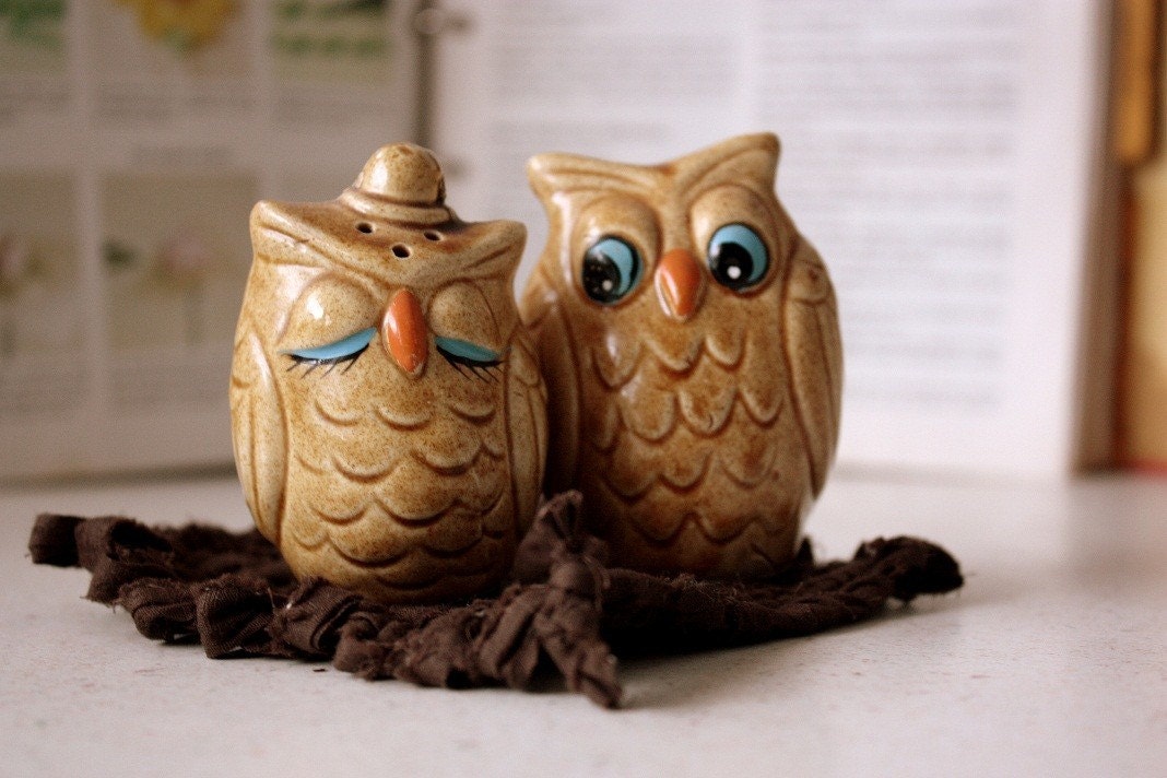 Lovely Owls Salt and Pepper Shakers