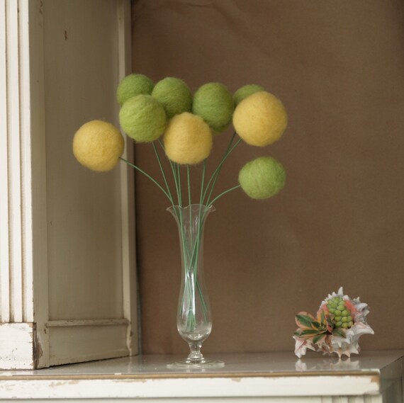 10 Large Yellow and Moss Craspedia Stems - Spring Wool Blossoms eco friendly and ever lasting nature