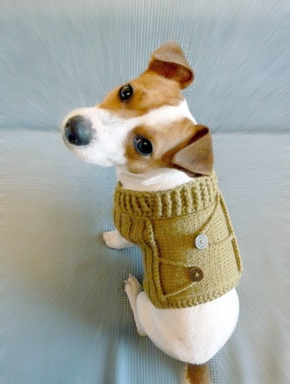 Knitted Mustard Dog Sweater / Dog coat / Dog costume / Dog Clothes / fttt / est / tpt / Rusteam  / capsteam / tfteam  / em