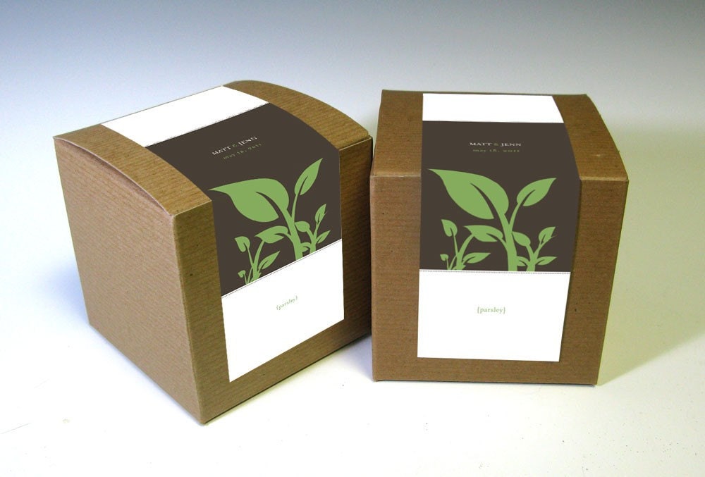 Eco-Friendly Herbs in a Box Wedding Favors