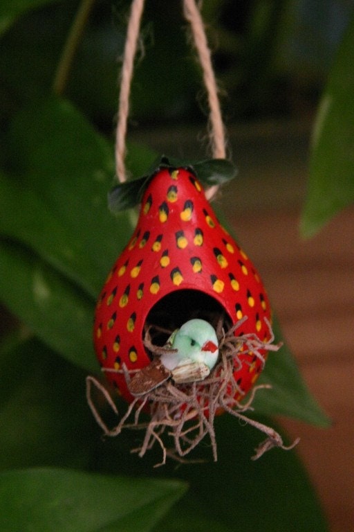 Ornamental Gourd Birdhouse - Strawberry Delight (1b)