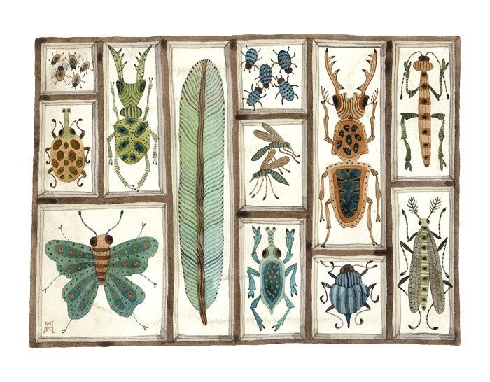 Beetles Weevils and Flies No. 9 original watercolor painting