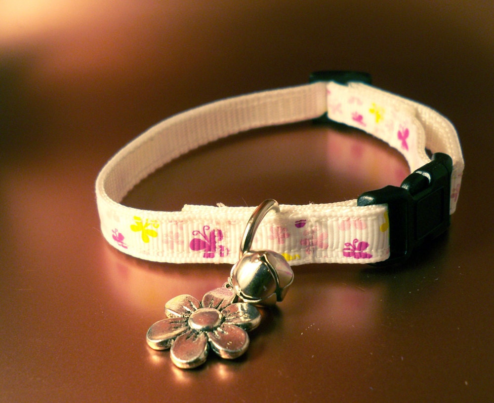Breakaway Cat Collar wIth Bell and Charm