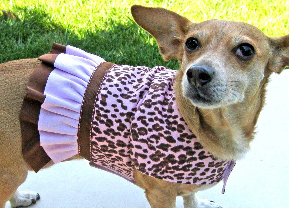 Dog Dress Pink and Brown Leopard