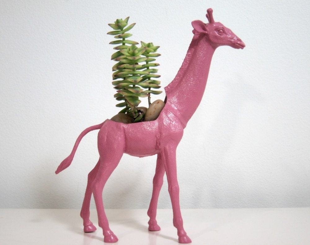 Sara the Giraffe Planter & Succulent