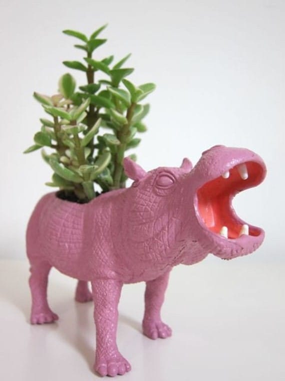 Penelope the Hippopotamus Planter & Succulent