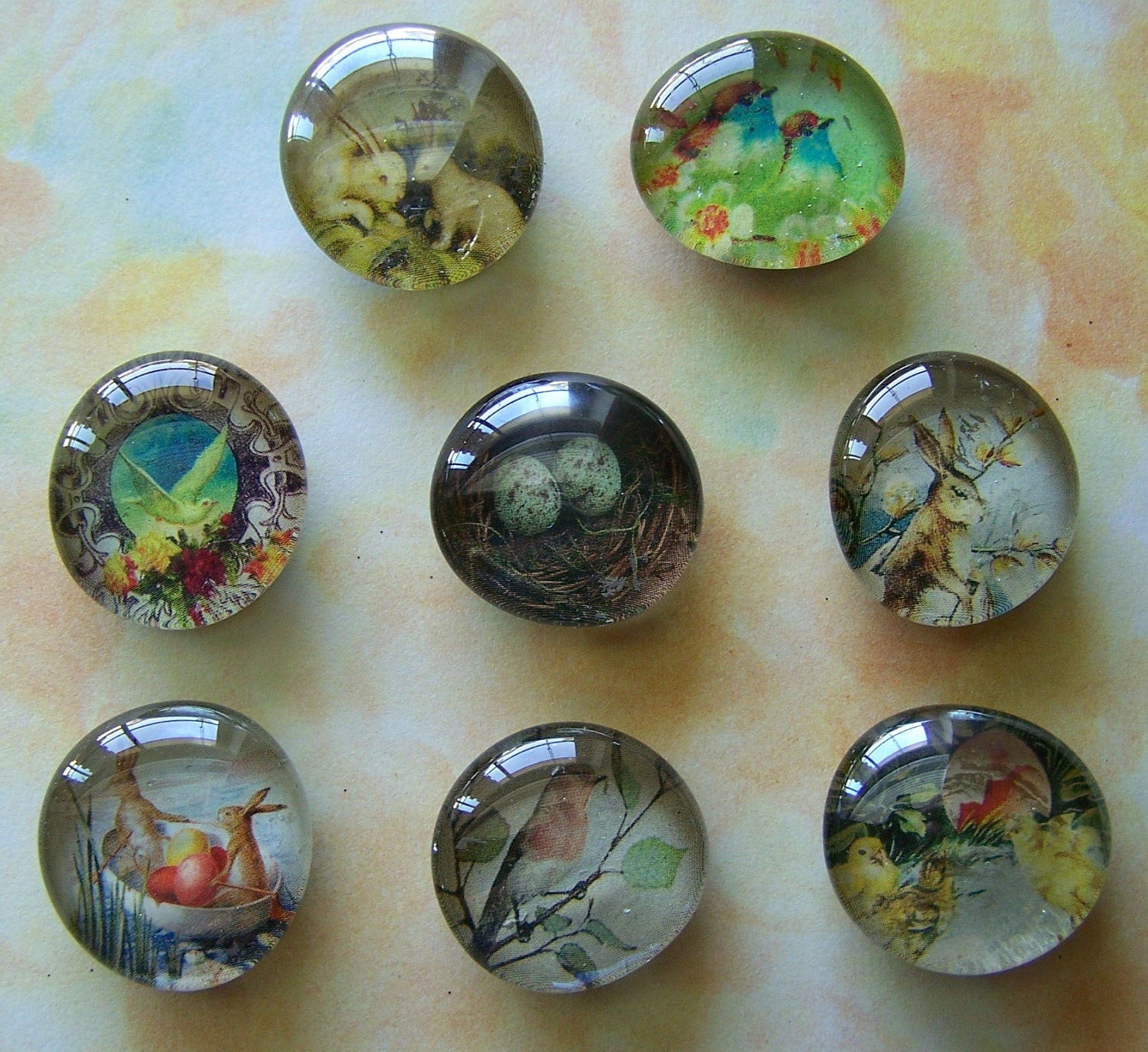 Set of 8 Assorted Upcycled  Fauna Glass Marble Magnets