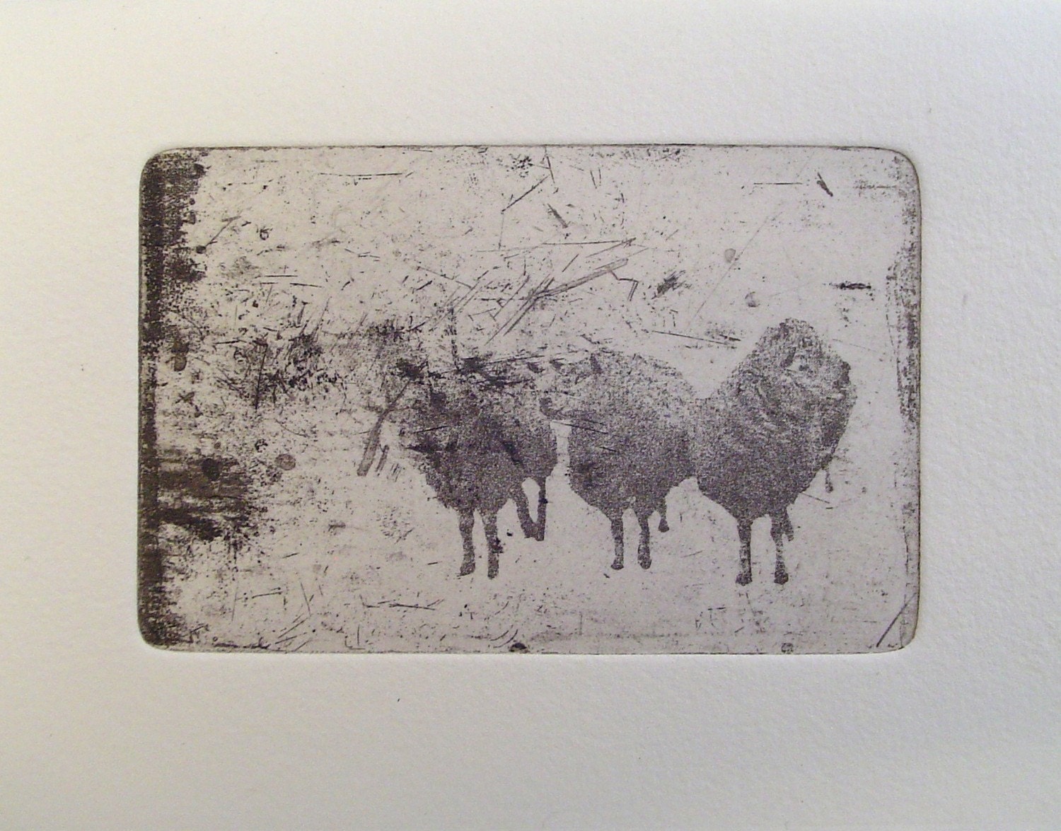 Small original sheep etching