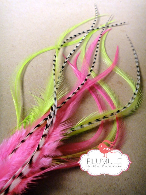Neon Party / 6 PCS / Feather Hair Extensions / Rooster Saddle