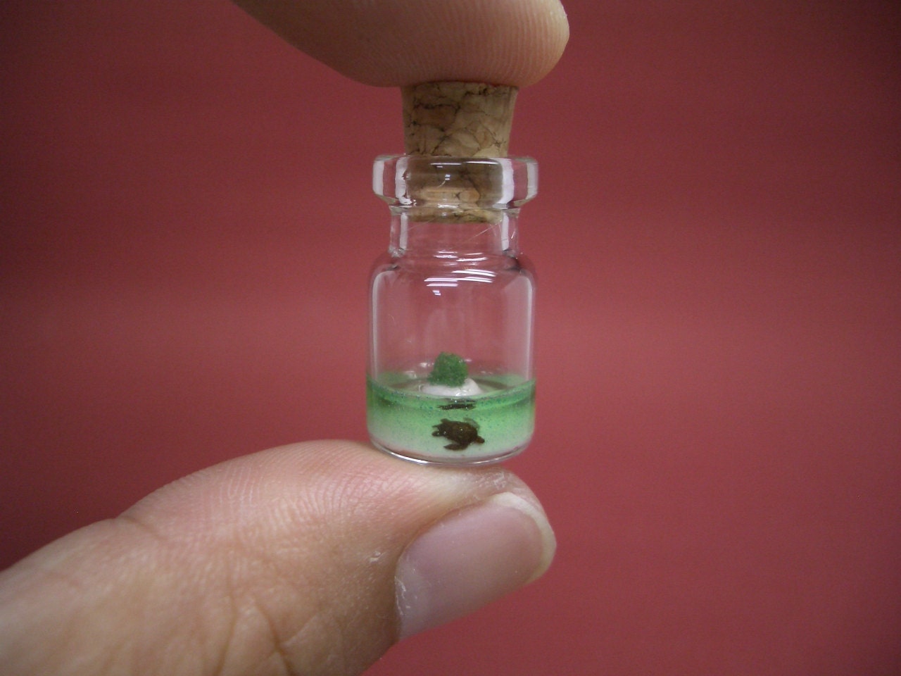 a turtle in an uninhabited island in a tiny bottle green R