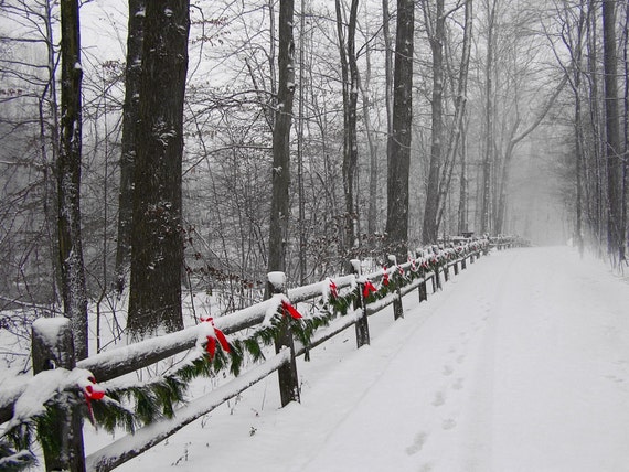 Deck the Trail 8x10 Christmas Winter Snow Scene Photograph