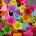 Assorted Colored Acrylic Frosted Flower Beads - 8 Flower  Beads