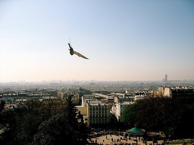 4x6 Magnet of "Overhead," Original Photograph of Paris Skyline