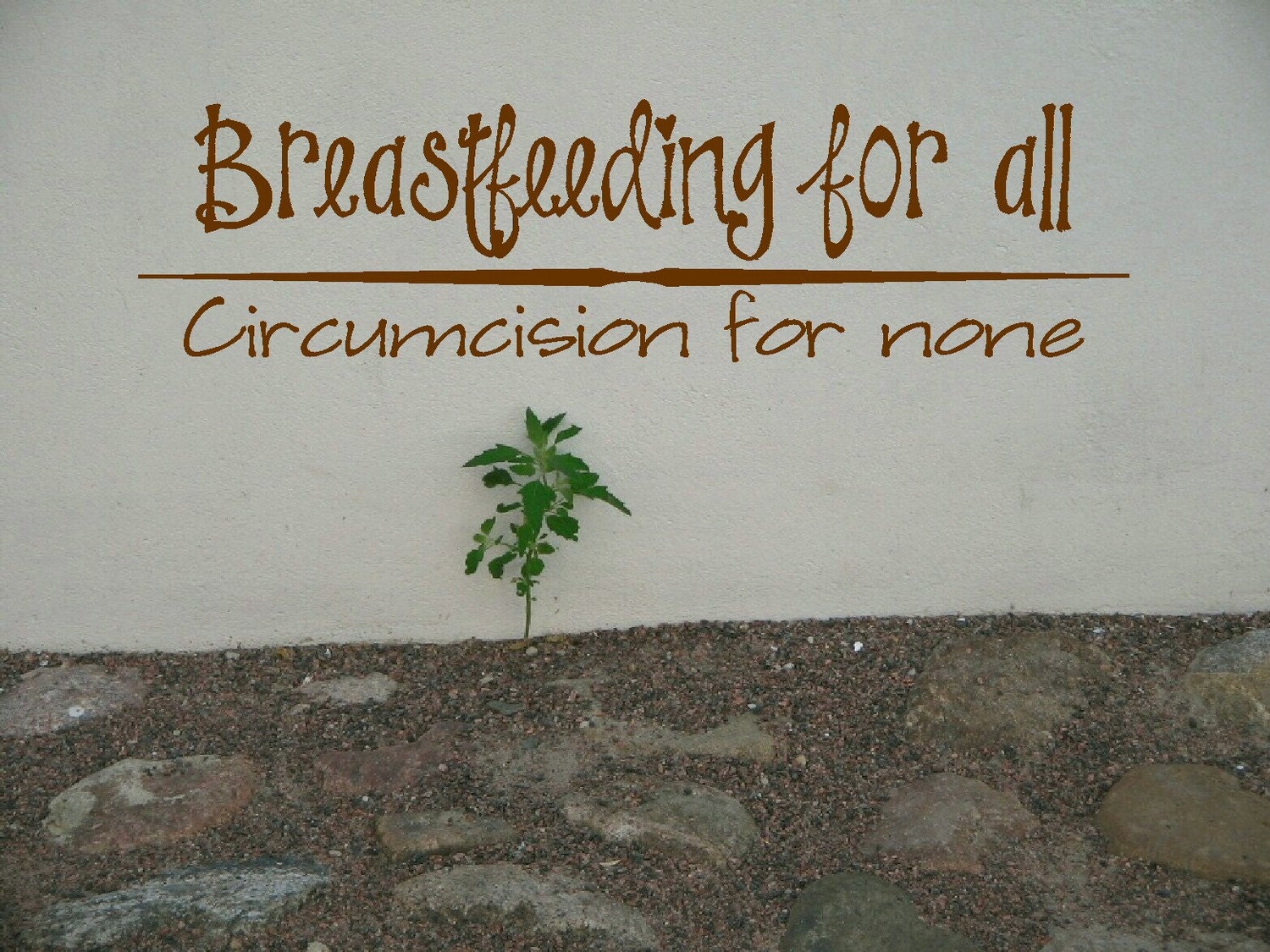 Breastfeeding for all -- Circumcision for none decal