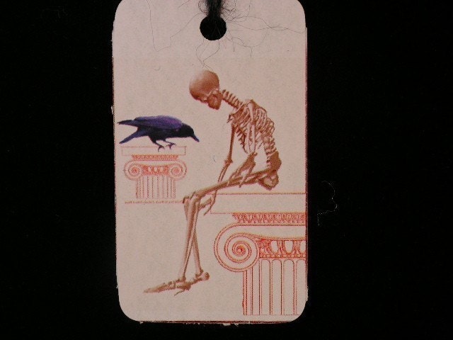 human skeleton labeled. Human skeleton outline free