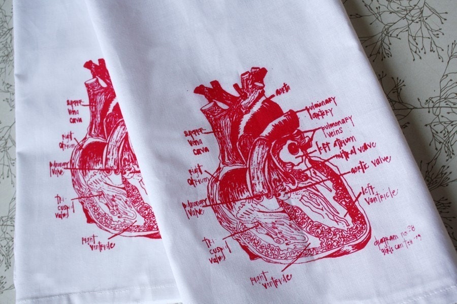 arteries of body diagram. Human+ody+diagram+heart