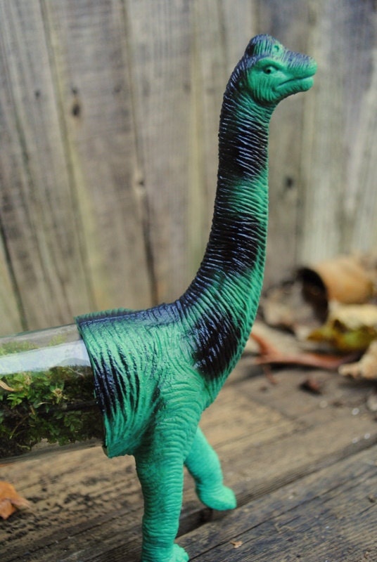 LAST ONE Live Dino-terrarium unique strange green long neck