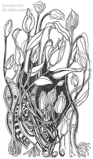 Tangled Wild Flowers Line Drawing Abstract Modern Art