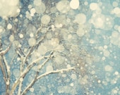 Snowblind - Fine art photograph - Winter blizzard abstract