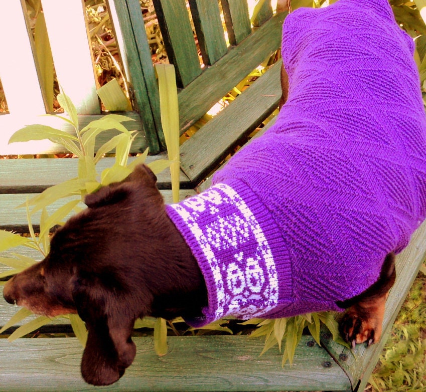 Canine Comfort Dog Sweater - Free Patterns - Download Free Patterns